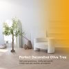 LED Beads Lighted Olive Tree Artificial Greenery Tree with Warm White Light Lifelike Decorative Faux Tree 8 Lighting Modes 10 Adjustable Brightness